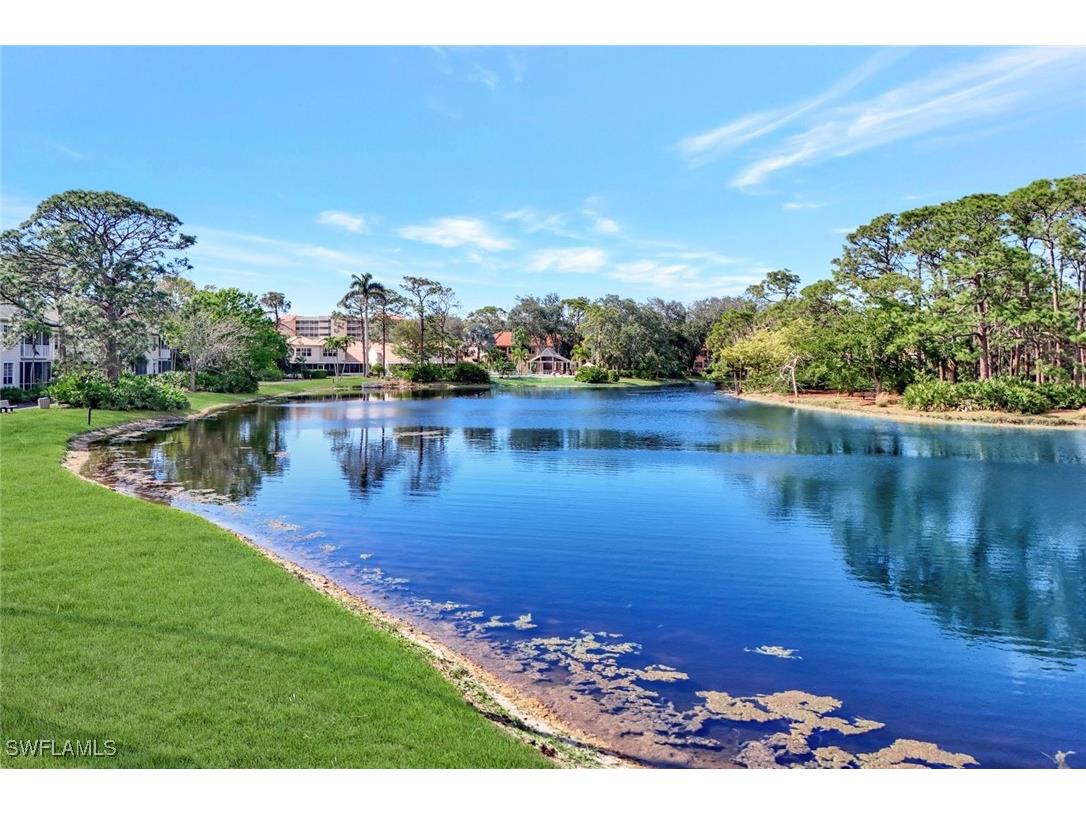 15103 Royal Fern Court #E100 Naples FL 34110 225018126 image32