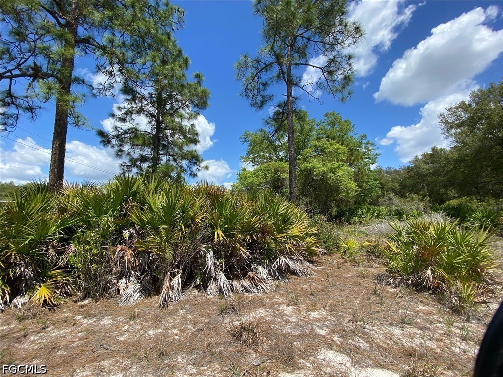 1512 Clayton Avenue Lehigh Acres FL 33972 2026015739 image4