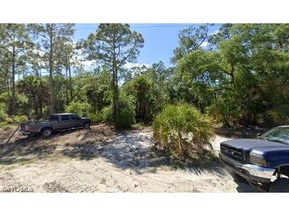 1513 Palmetto Avenue Lehigh Acres FL 33972 223043486 image1