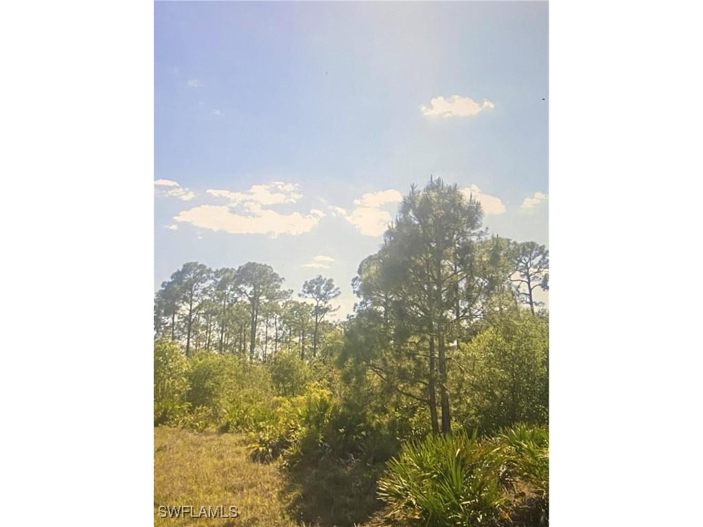 1513 Poinsettia Avenue Lehigh Acres FL 33972 225074525 image2