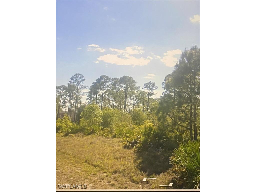 1513 Poinsettia Avenue Lehigh Acres FL 33972 225074525 image3