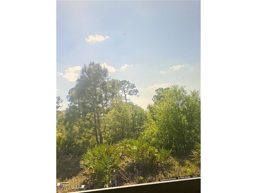 1513 Poinsettia Avenue Lehigh Acres FL 33972 225074525 image4