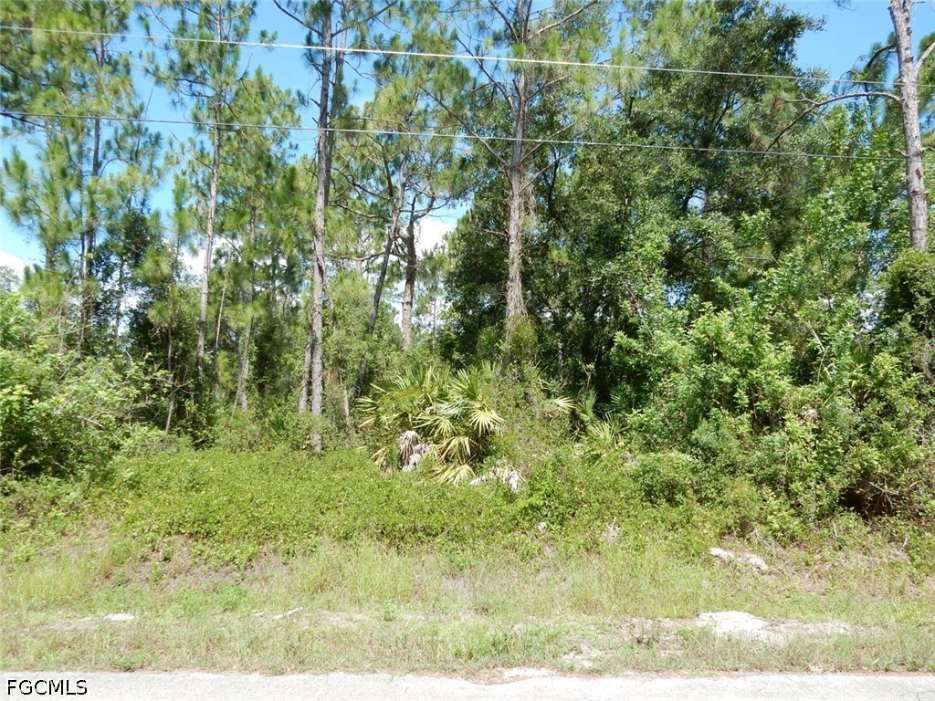 1515 Lincoln Avenue Lehigh Acres FL 33972 2026026394 image1