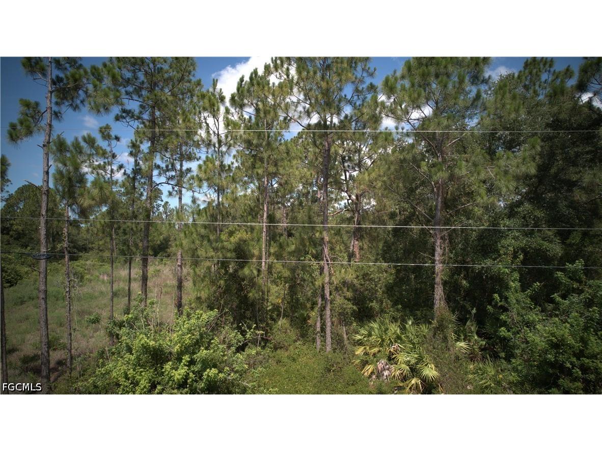 1515 Lincoln Avenue Lehigh Acres FL 33972 2026026394 image10