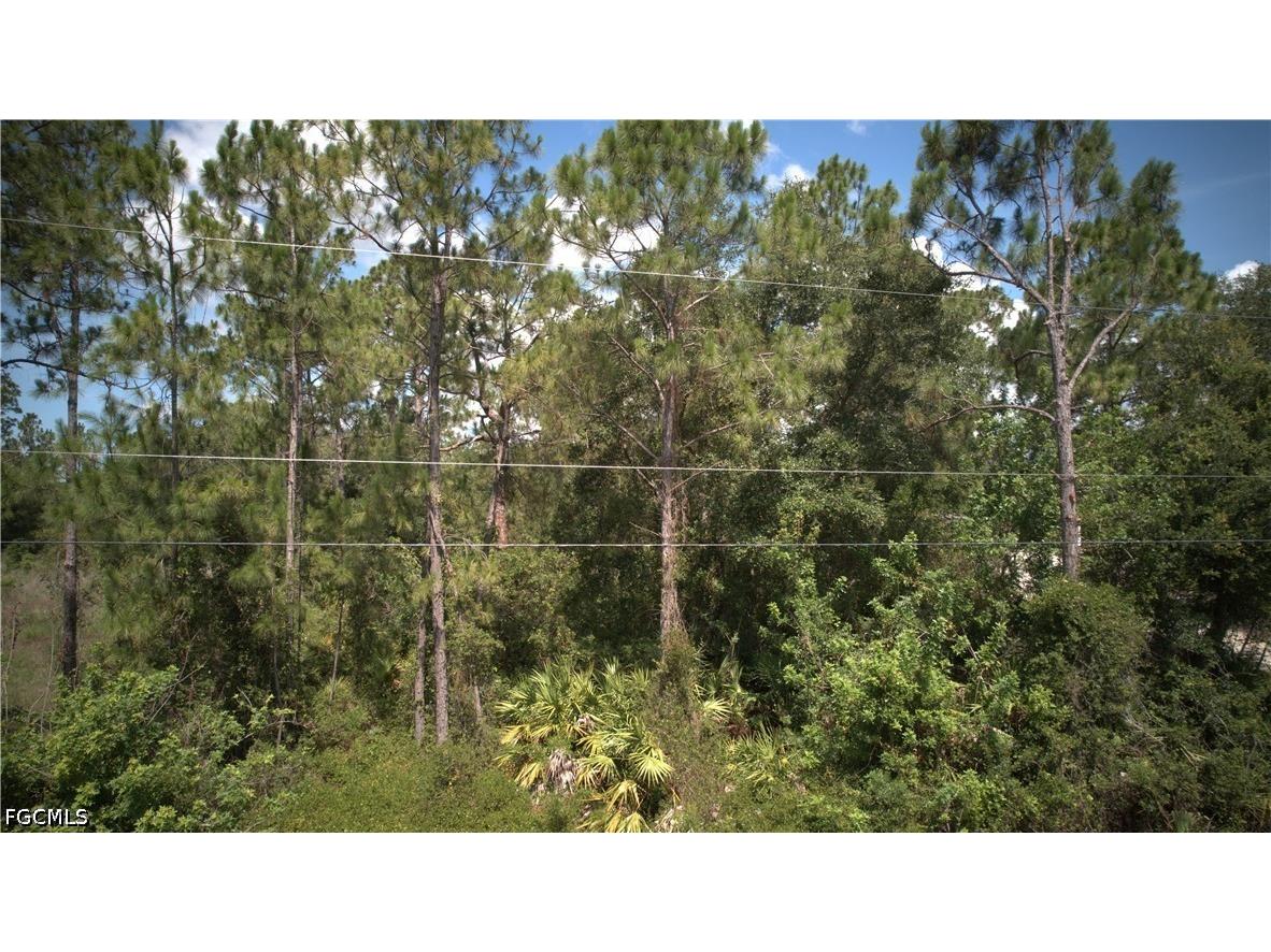 1515 Lincoln Avenue Lehigh Acres FL 33972 2026026394 image11
