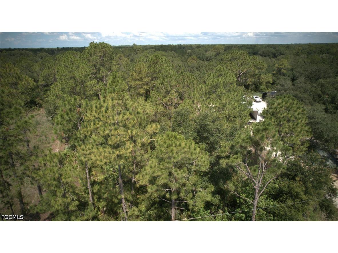 1515 Lincoln Avenue Lehigh Acres FL 33972 2026026394 image12