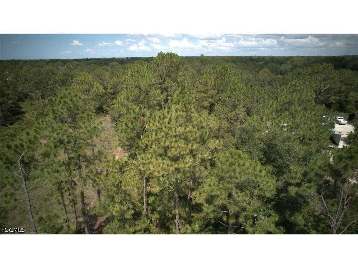 1515 Lincoln Avenue Lehigh Acres FL 33972 2026026394 image14