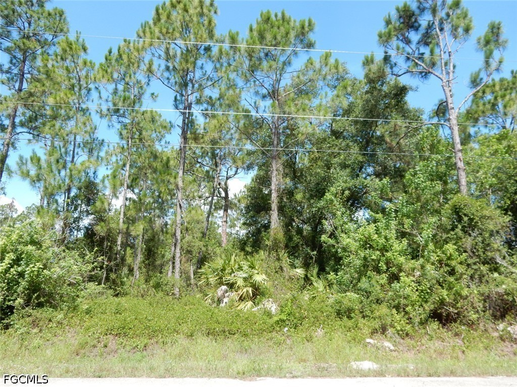 1515 Lincoln Avenue Lehigh Acres FL 33972 2026026394 image2
