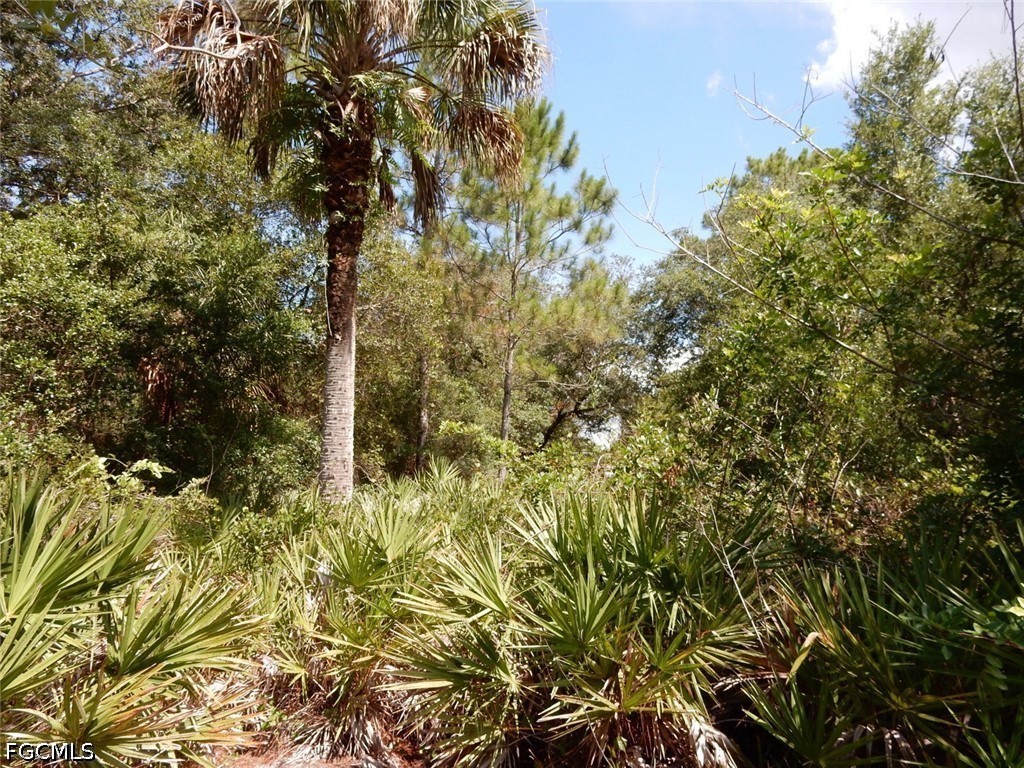 1515 Lincoln Avenue Lehigh Acres FL 33972 2026026394 image4