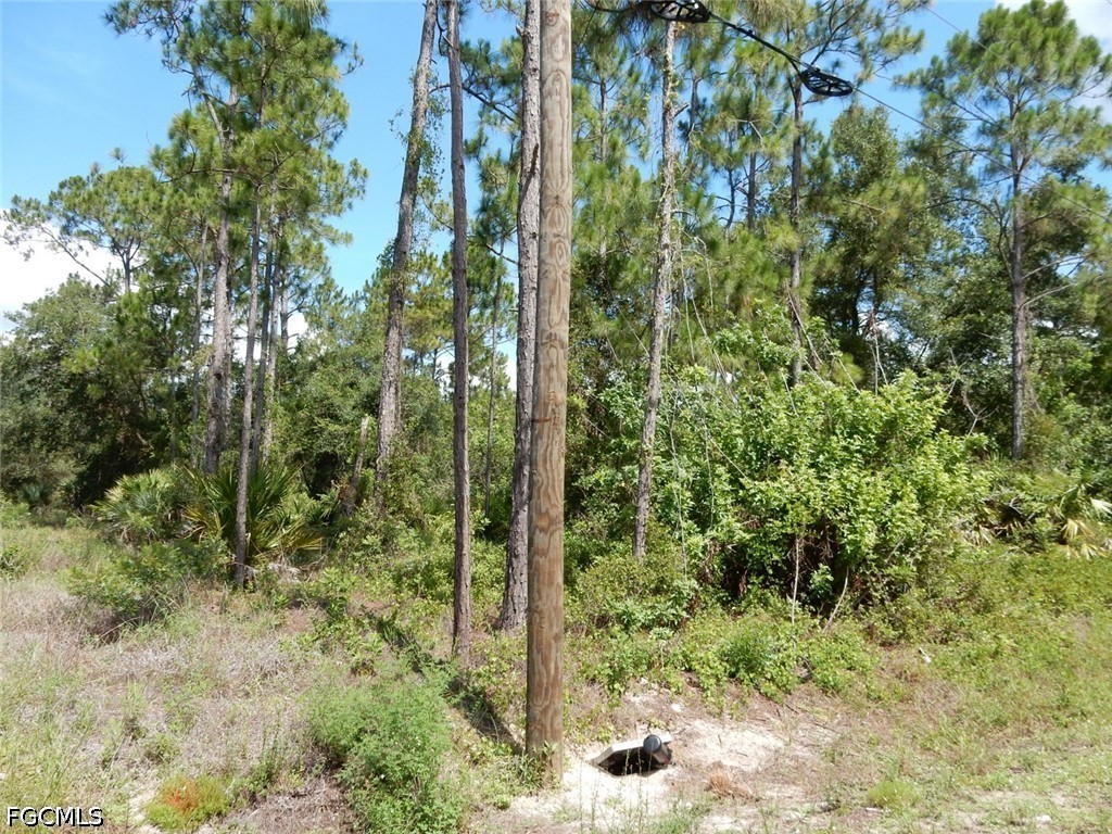 1515 Lincoln Avenue Lehigh Acres FL 33972 2026026394 image5