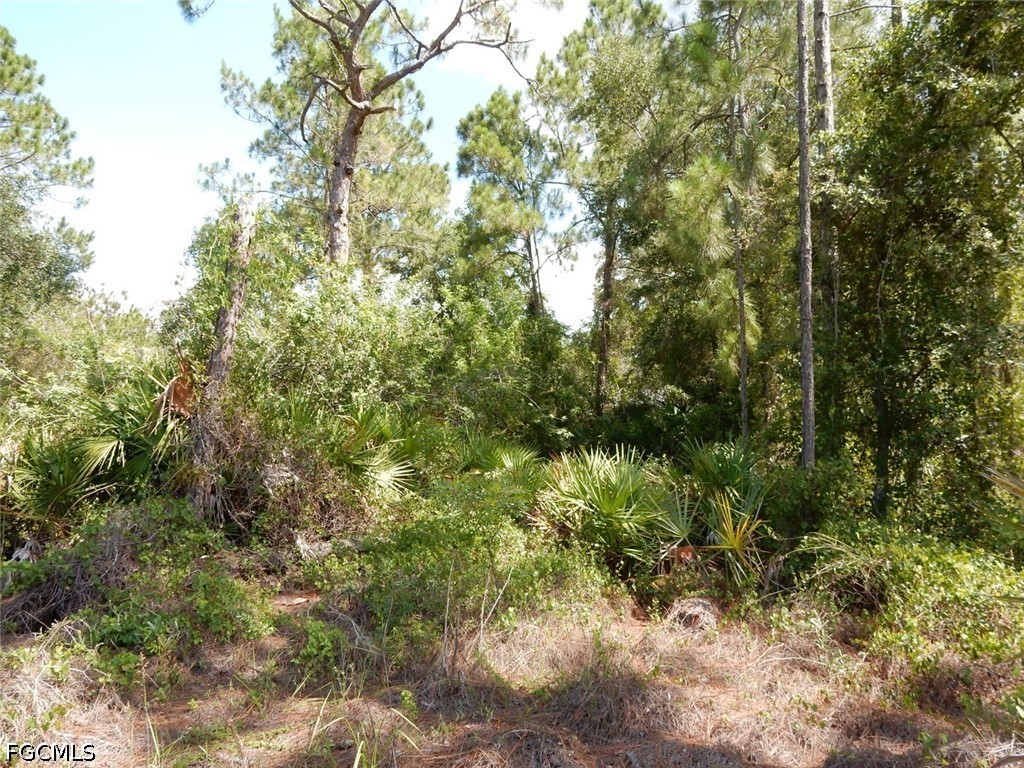 1515 Lincoln Avenue Lehigh Acres FL 33972 2026026394 image6