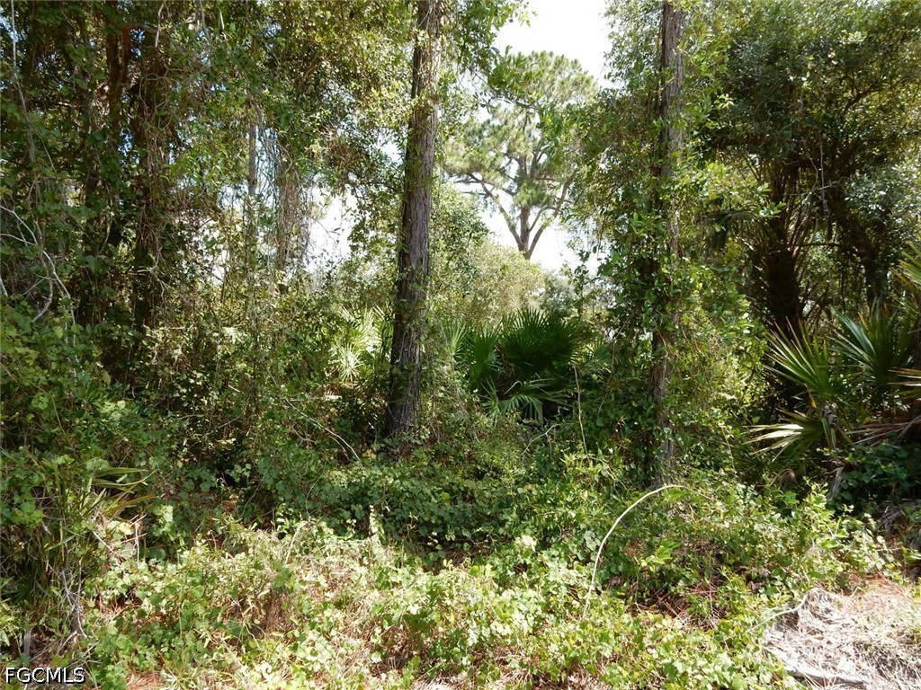 1515 Lincoln Avenue Lehigh Acres FL 33972 2026026394 image7