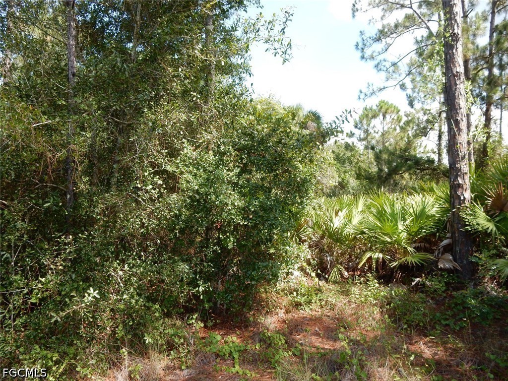 1515 Lincoln Avenue Lehigh Acres FL 33972 2026026394 image8