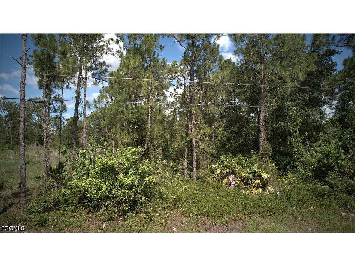 1515 Lincoln Avenue Lehigh Acres FL 33972 2026026394 image9