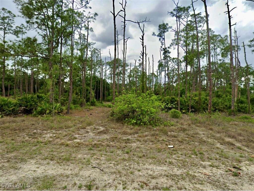 1515 Maple Avenue N Lehigh Acres FL 33972 226002400 image1