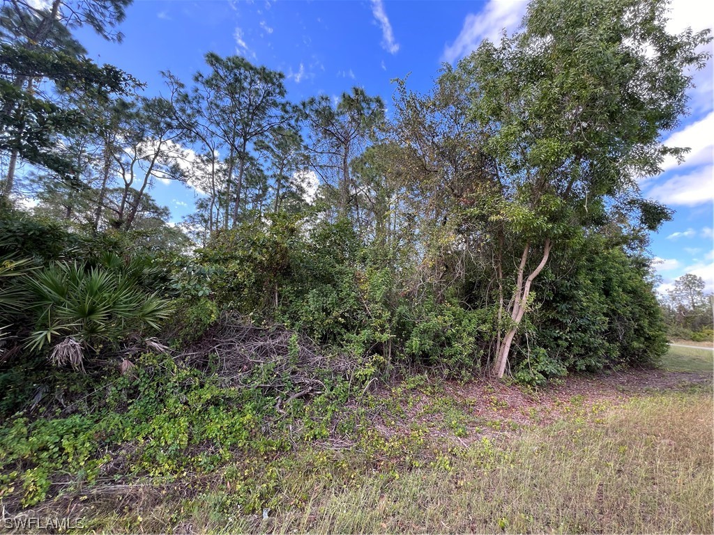 1515 NE Gerald Avenue Lehigh Acres FL 33972 223091624 image1