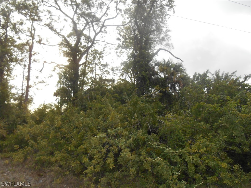 1515 Palmetto Avenue Lehigh Acres FL 33972 222028819 image1