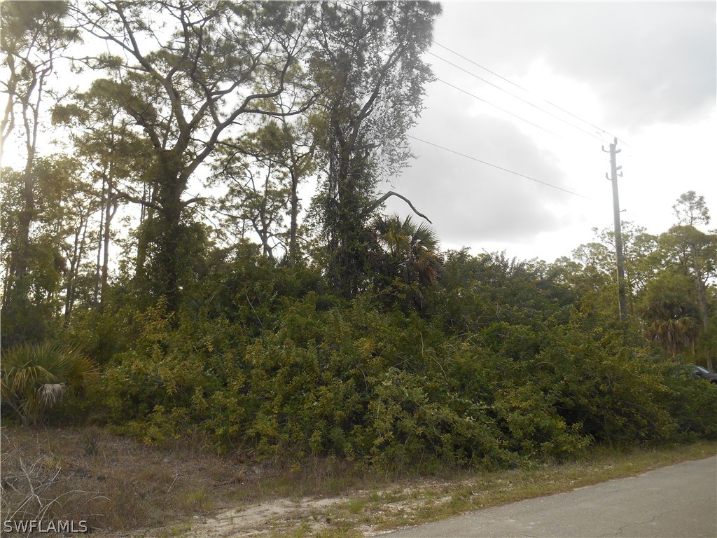 1515 Palmetto Avenue Lehigh Acres FL 33972 222028819 image11