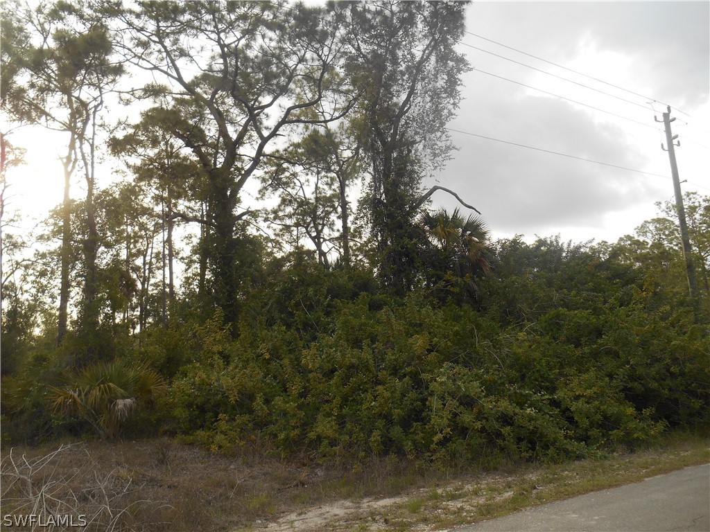 1515 Palmetto Avenue Lehigh Acres FL 33972 222028819 image12