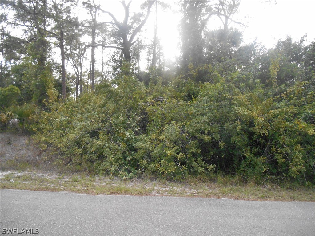 1515 Palmetto Avenue Lehigh Acres FL 33972 222028819 image7