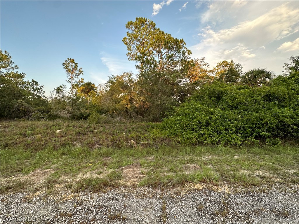 1516 Henry Avenue Lehigh Acres FL 33972 223048569 image1