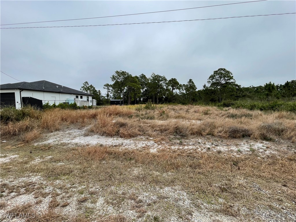 1516 Pine Avenue Lehigh Acres FL 33972 226003615 image2