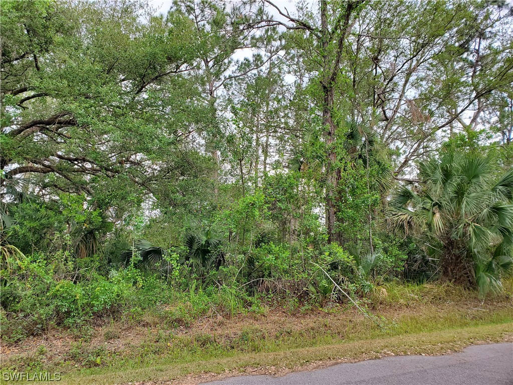 1516 Truman Avenue Lehigh Acres FL 33972 223027565 image1