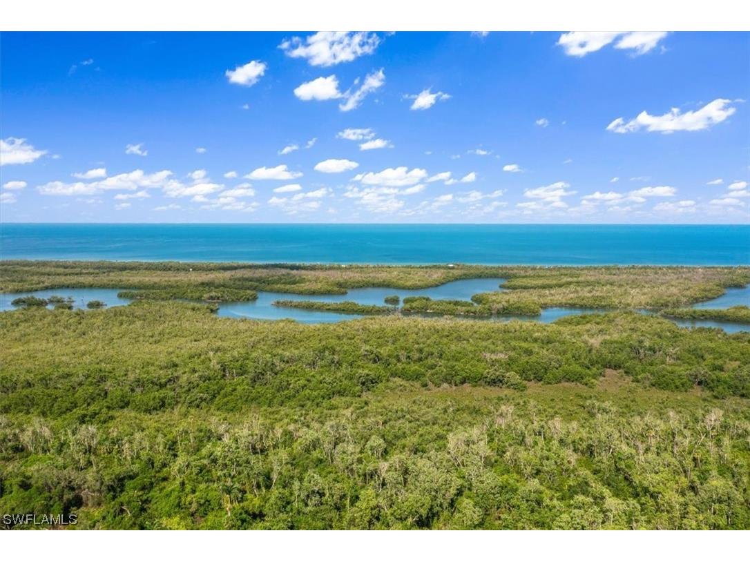 15161 Cedarwood Lane #1505 Naples FL 34110 223038760 image28