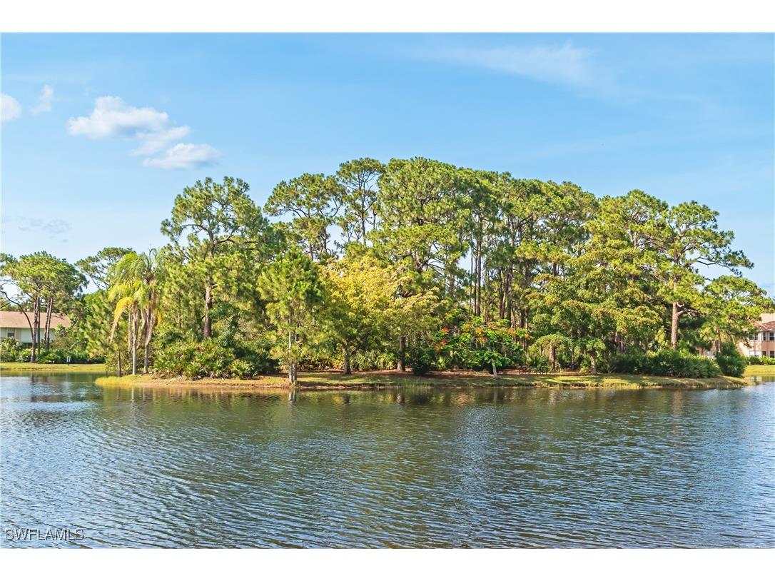 15162 Majorca Bay Drive #2 Naples FL 34110 225072220 image48