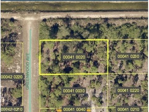 1520 Greenwood Avenue Lehigh Acres FL 33972 223011959 image1