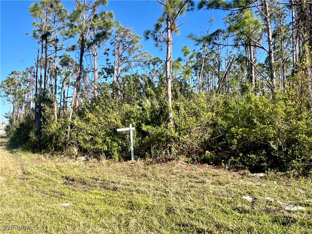 15249 Red Head Avenue Port Charlotte FL 33981 225028883 image5