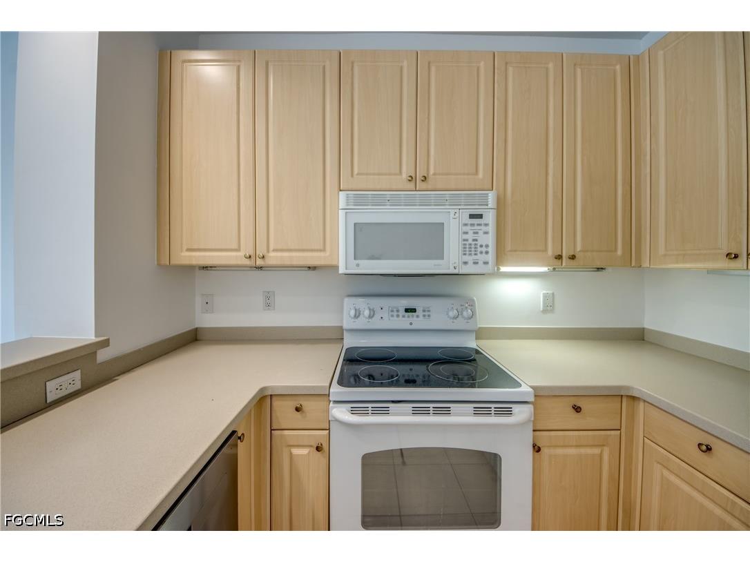 15250 Riverbend Boulevard #204 North Fort Myers FL 33917 2026017990 image12