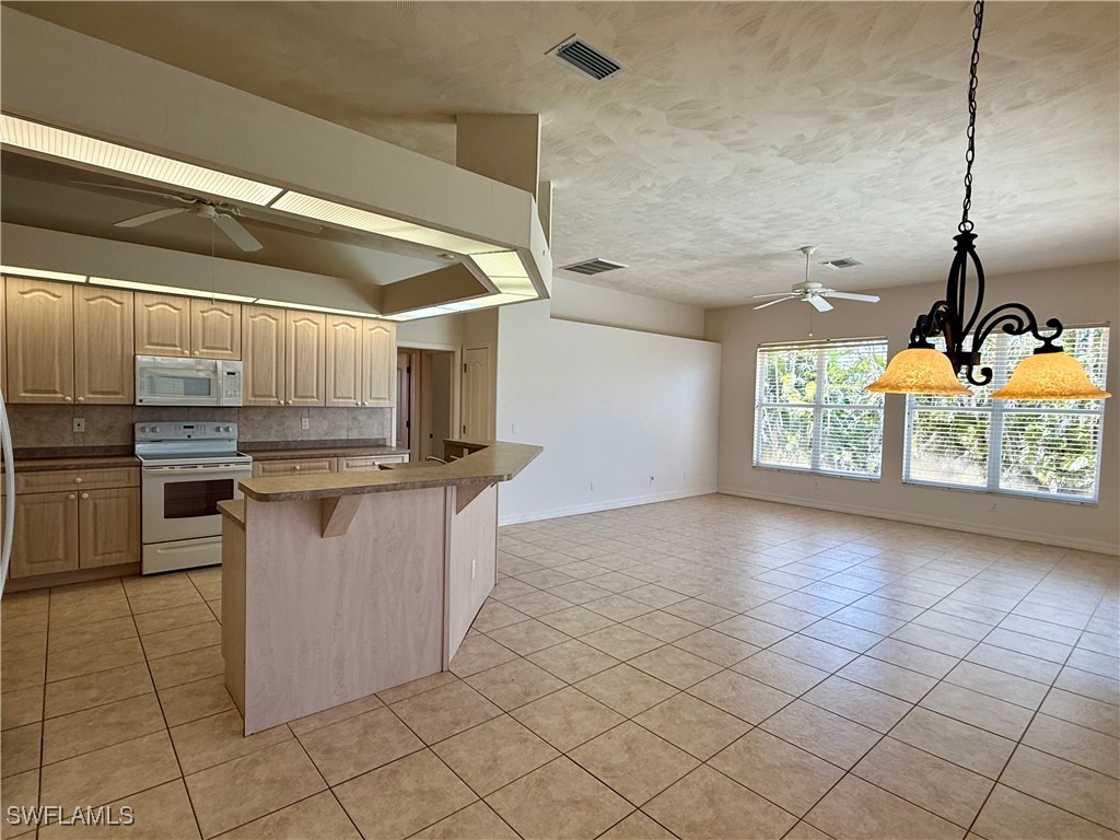 1529 SW 49th Terrace Cape Coral FL 33914 225042963 image8