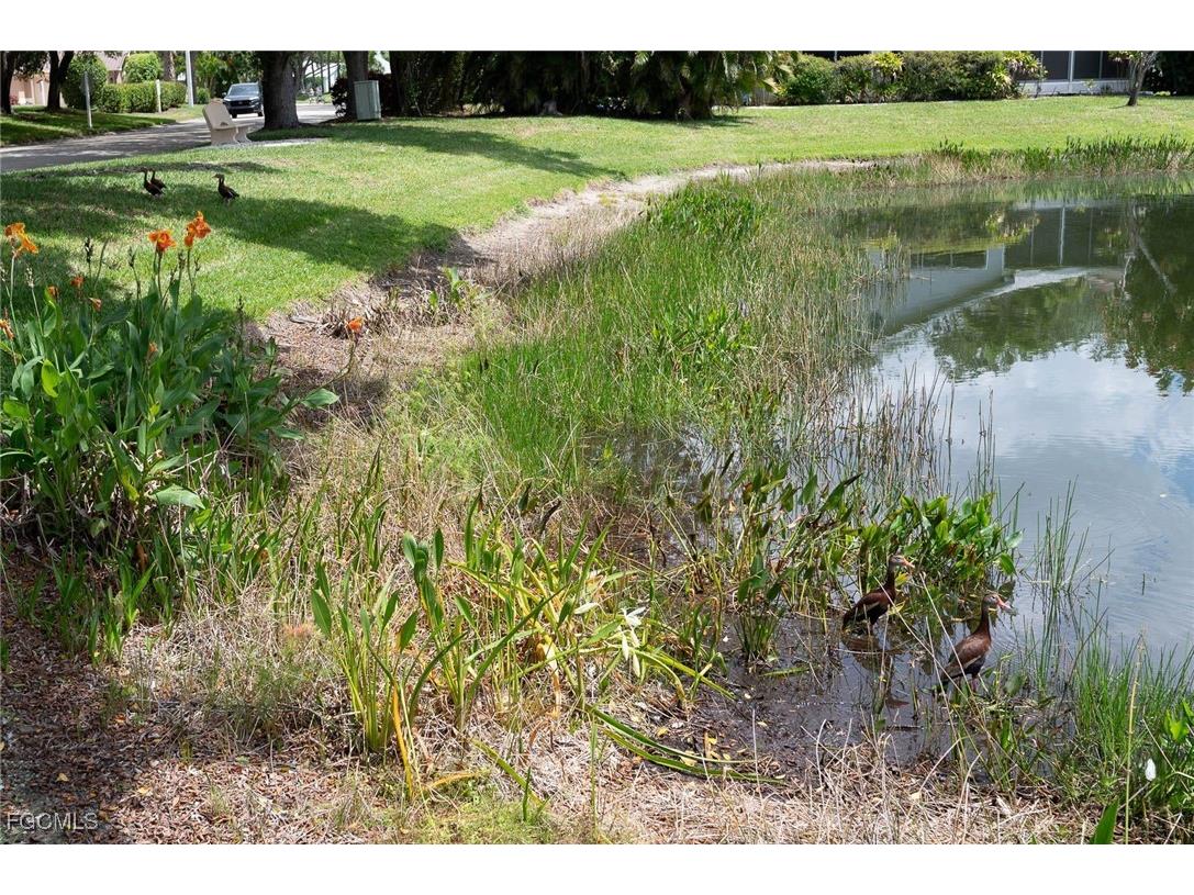 15298 Cricket Lane Fort Myers FL 33919 2025019693 image43