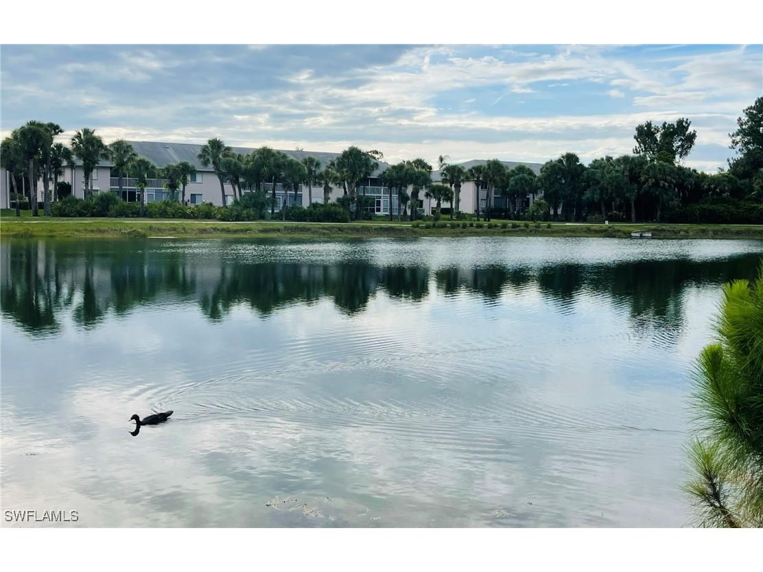 153 Gabriel Circle #3003 Naples FL 34104 225084282 image28