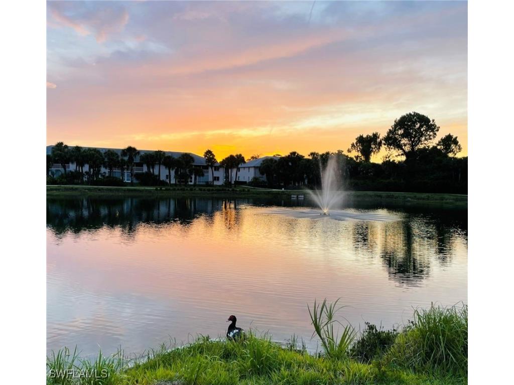 153 Gabriel Circle #3003 Naples FL 34104 225084282 image31