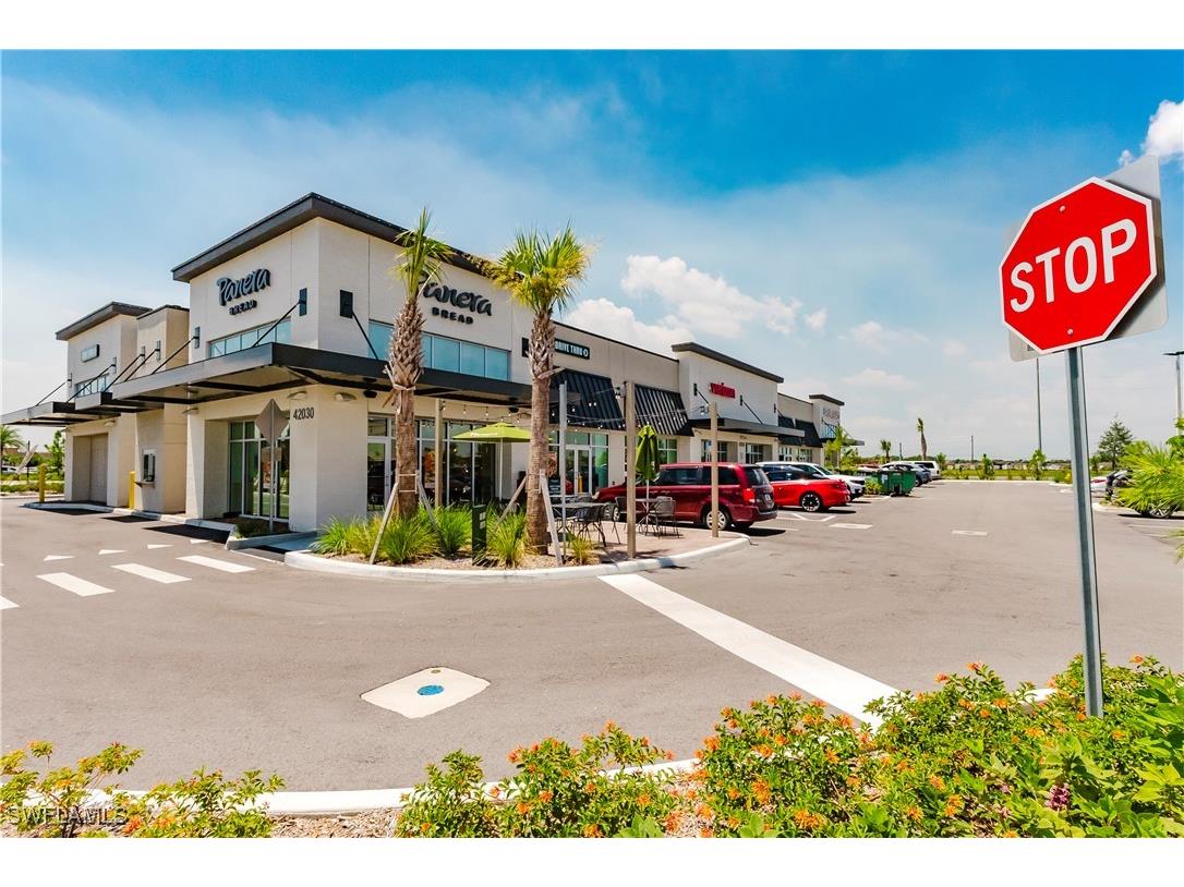 15345 Green Acres Avenue #2111 Babcock Ranch FL 33982 225084171 image47