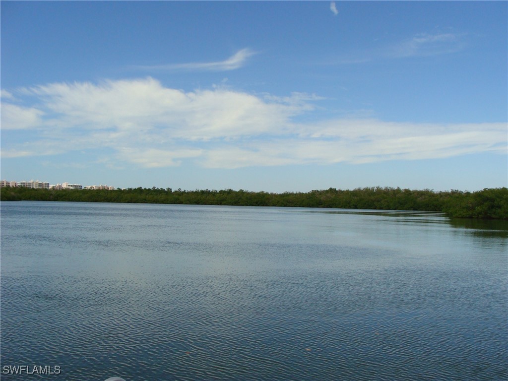 15348 Wimborne Lane #3 Naples FL 34110 225074813 image34