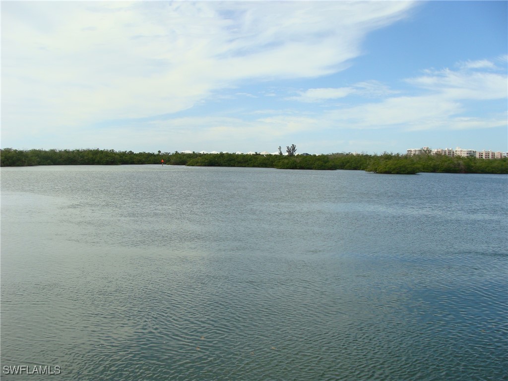 15348 Wimborne Lane #3 Naples FL 34110 225074813 image35