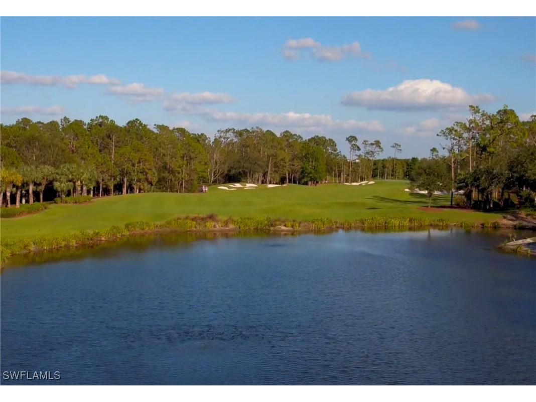 15352 Milan Lane Naples FL 34110 225039594 image31