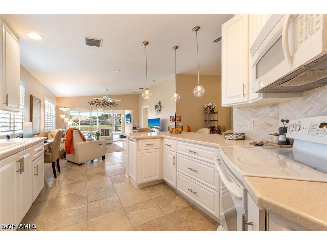 15366 Upwind Drive Bonita Springs FL 34135 226017009 image4