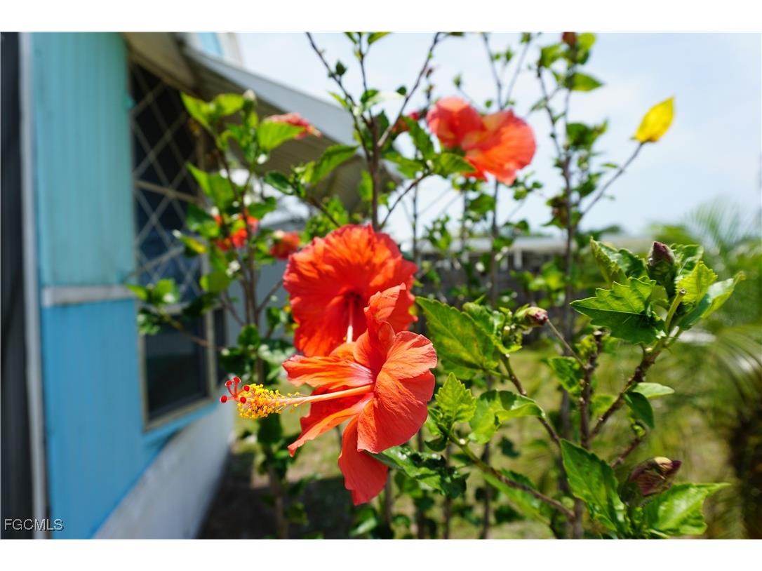 15371 Mango Drive Punta Gorda FL 33955 2025012618 image37