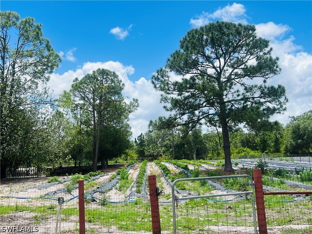 155 Evans Road Labelle FL 33935 226015276 image19