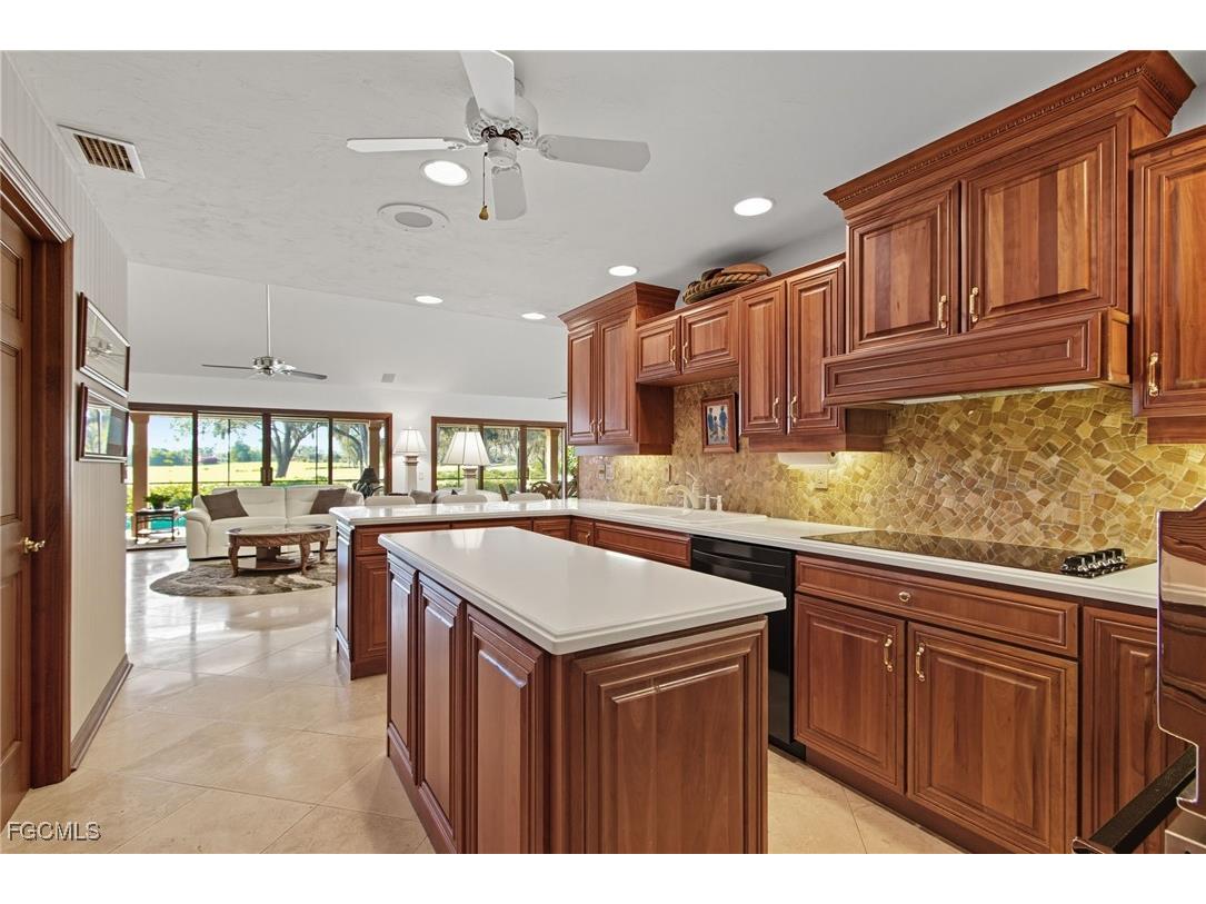 15532 Fiddlesticks Boulevard Fort Myers FL 33912 2025013841 image11