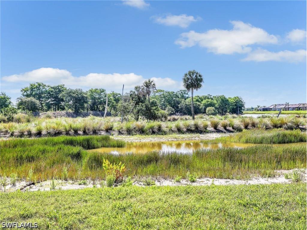 15558 Vittorio Street Naples FL 34114 226017387 image30