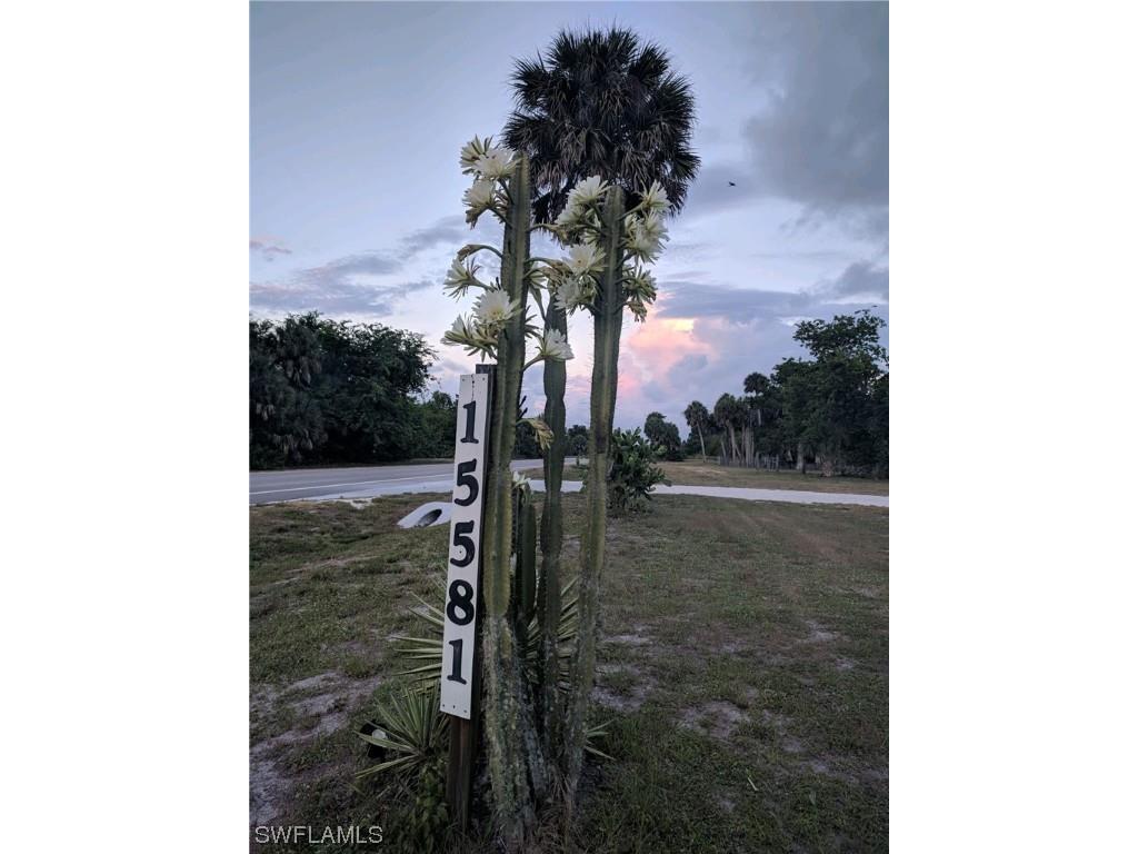 15581 E State Road 78 Okeechobee FL 34974 223067131 image1