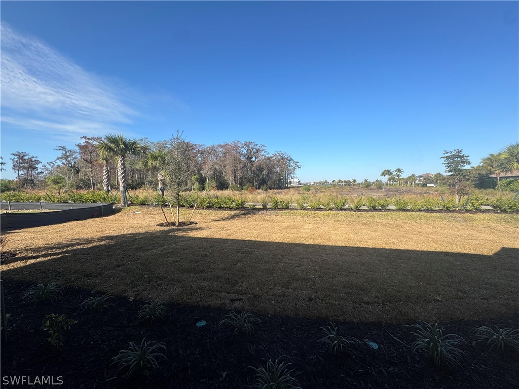 15667 Cassio Way Naples FL 34114 226007990 image5