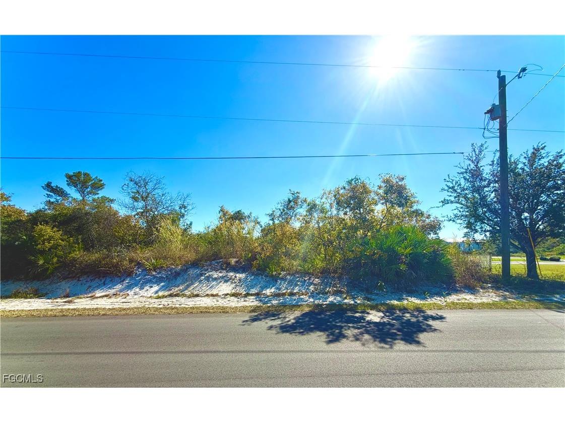 157 Cumberland Street Lake Placid FL 33852 2025020501 image1