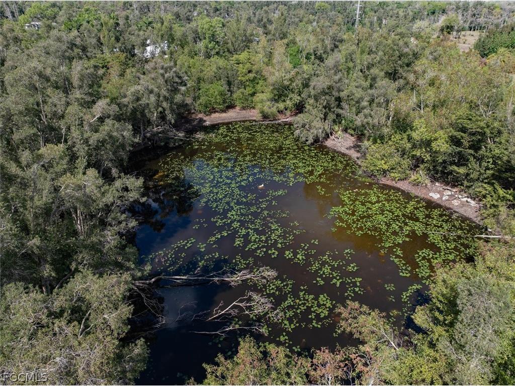15710 Shamrock Drive Fort Myers FL 33912 2026012279 image6