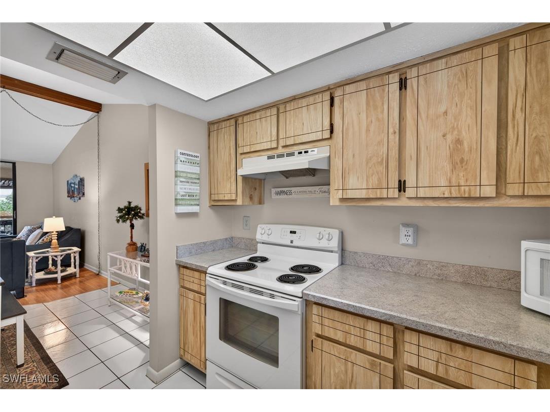 15770 Windward Way Circle #2204 Fort Myers FL 33908 225084008 image11